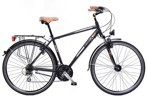 Herren Trekkingrad, 28 Zoll, 21 Gang Shimano Acera Kettenschaltung, »QT«, BIRIA