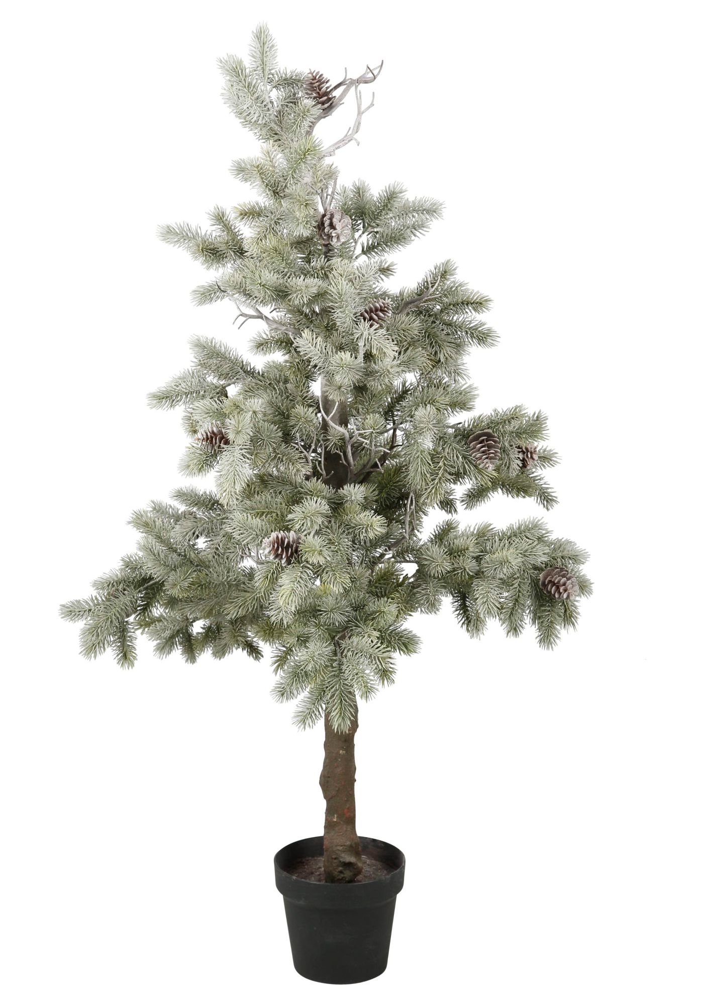 weihnachtsbaum g 252 nstig online kaufen beim schwab versand weihnachtsbaum g 252 nstig online kaufen beim schwab versand
