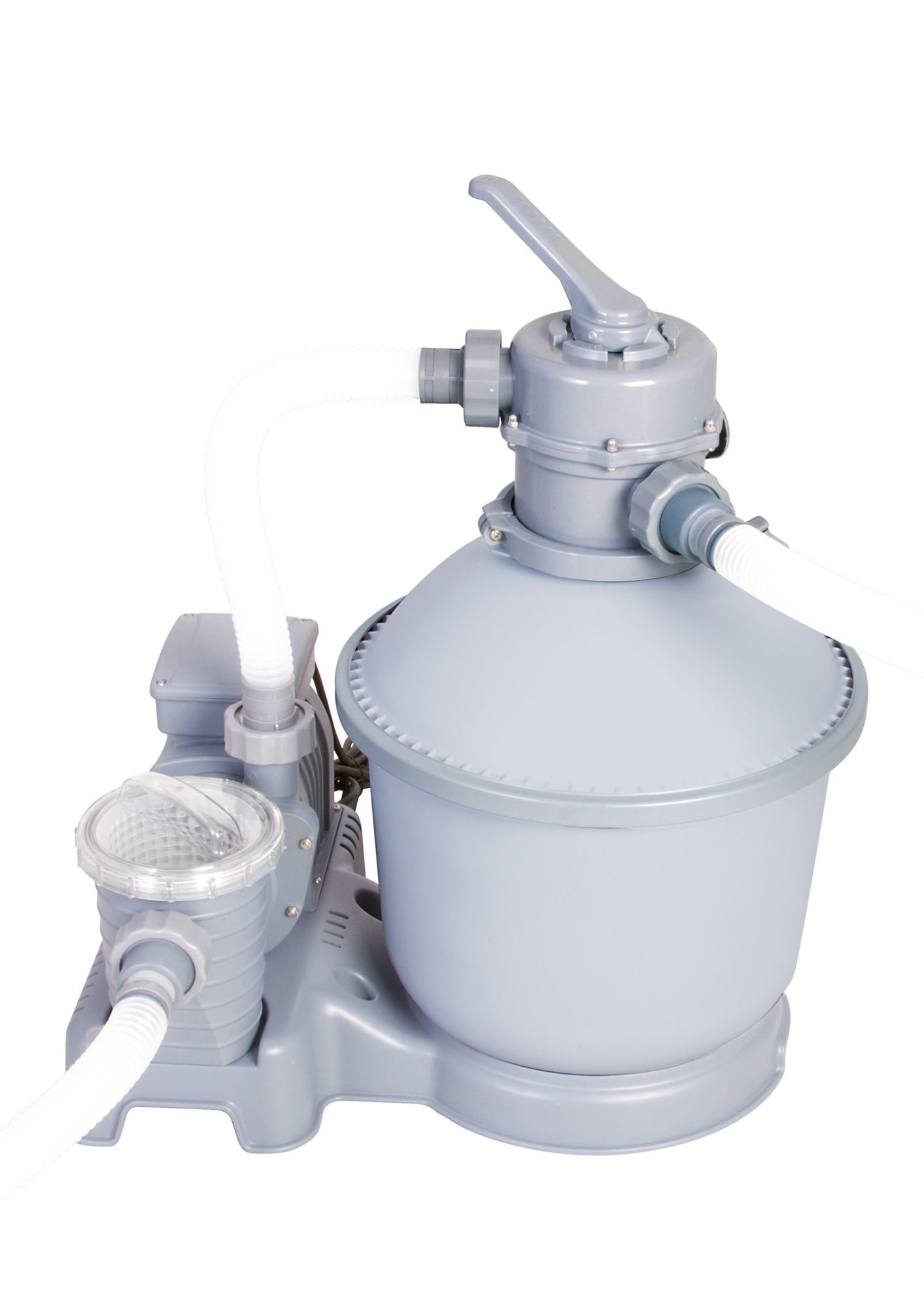 06374320170202 grobe sichtschutz pflanzen – filout.com