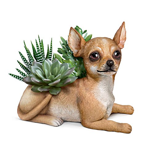 Chihuahua Planter With Always In Bloom Succulents