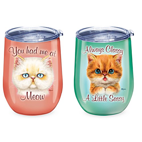 You Had Me at Meow and Always Classy a Little Sassy Cat Tumblers