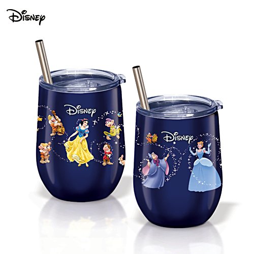 Disney Insulated Stainless Steel Drinkware set