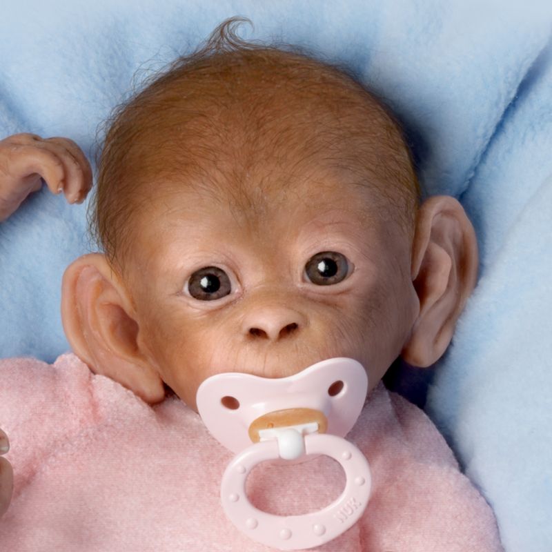 bradford exchange baby monkey