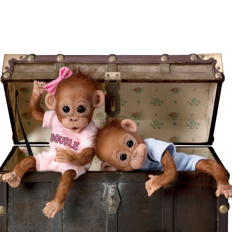 cindy sales monkeys