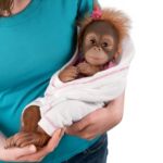 Novi monkey sale doll