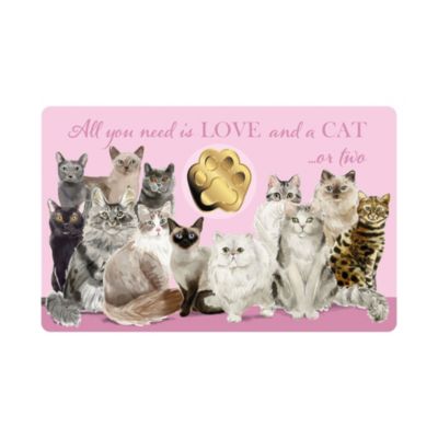 Liebe und meine Katze