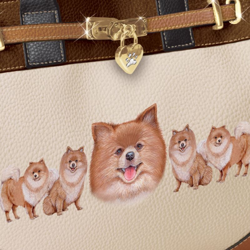 pomeranian in bag