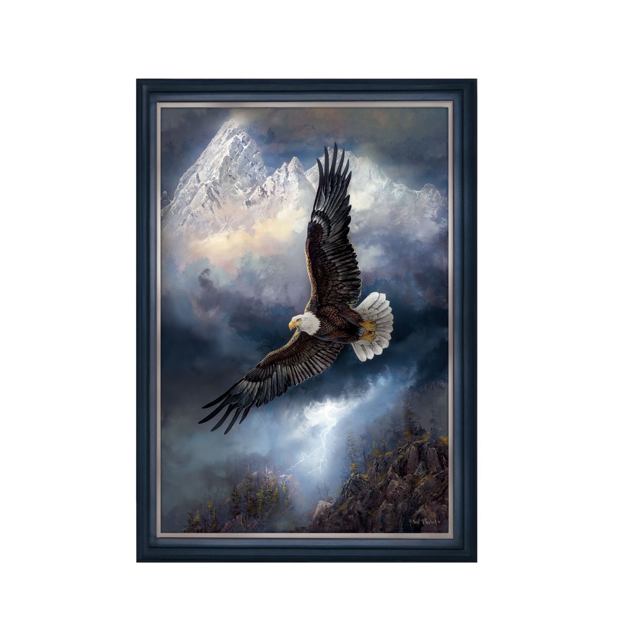 Ted Blaylock 'Force Of Nature' Eagle Illuminated Canvas Print