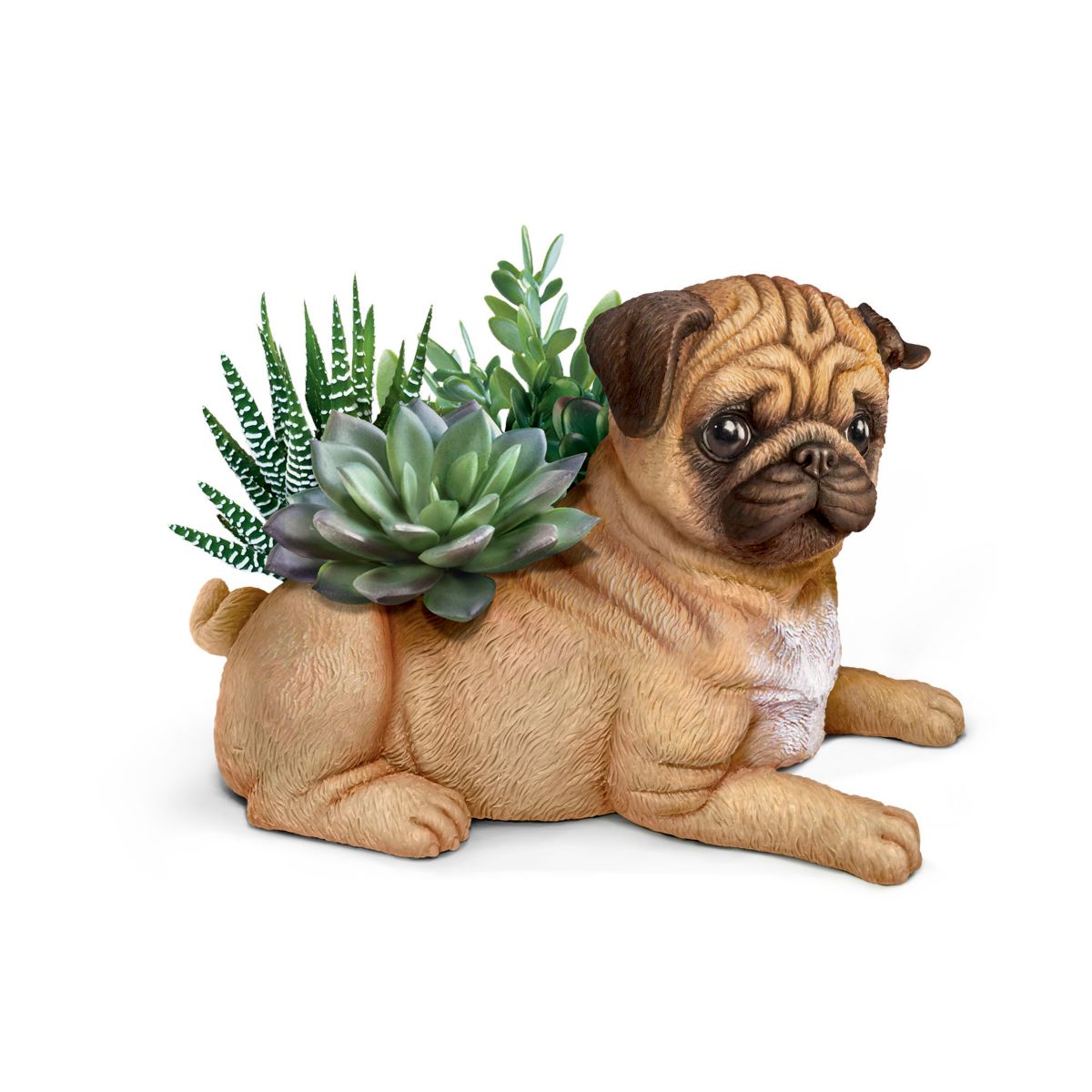 'Paw Prints Plant Everlasting Love' Always In Bloom Pug Table Centrepiece