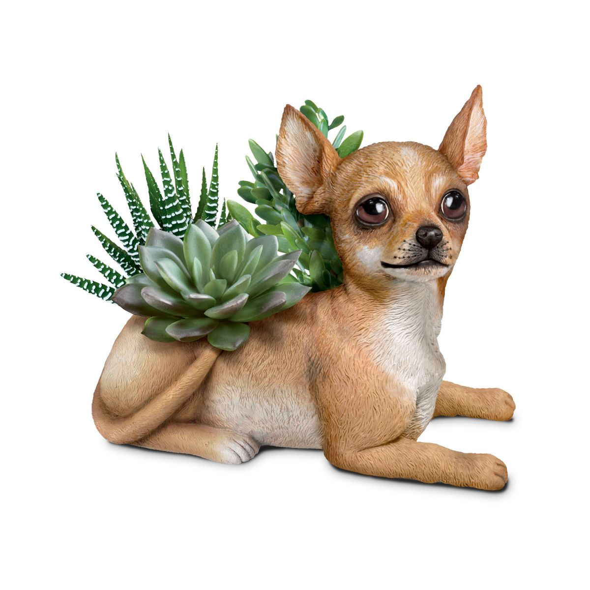 'Paw Prints Plant Everlasting Love' Always In Bloom Chihuahua Table Centrepiece