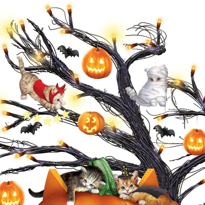 Scepticisme sieraden fort Spinnend speelse Halloween – tafeldecoratie