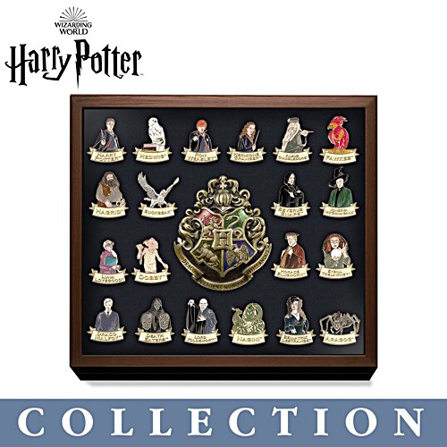 Harry Potter Pin Set (8)