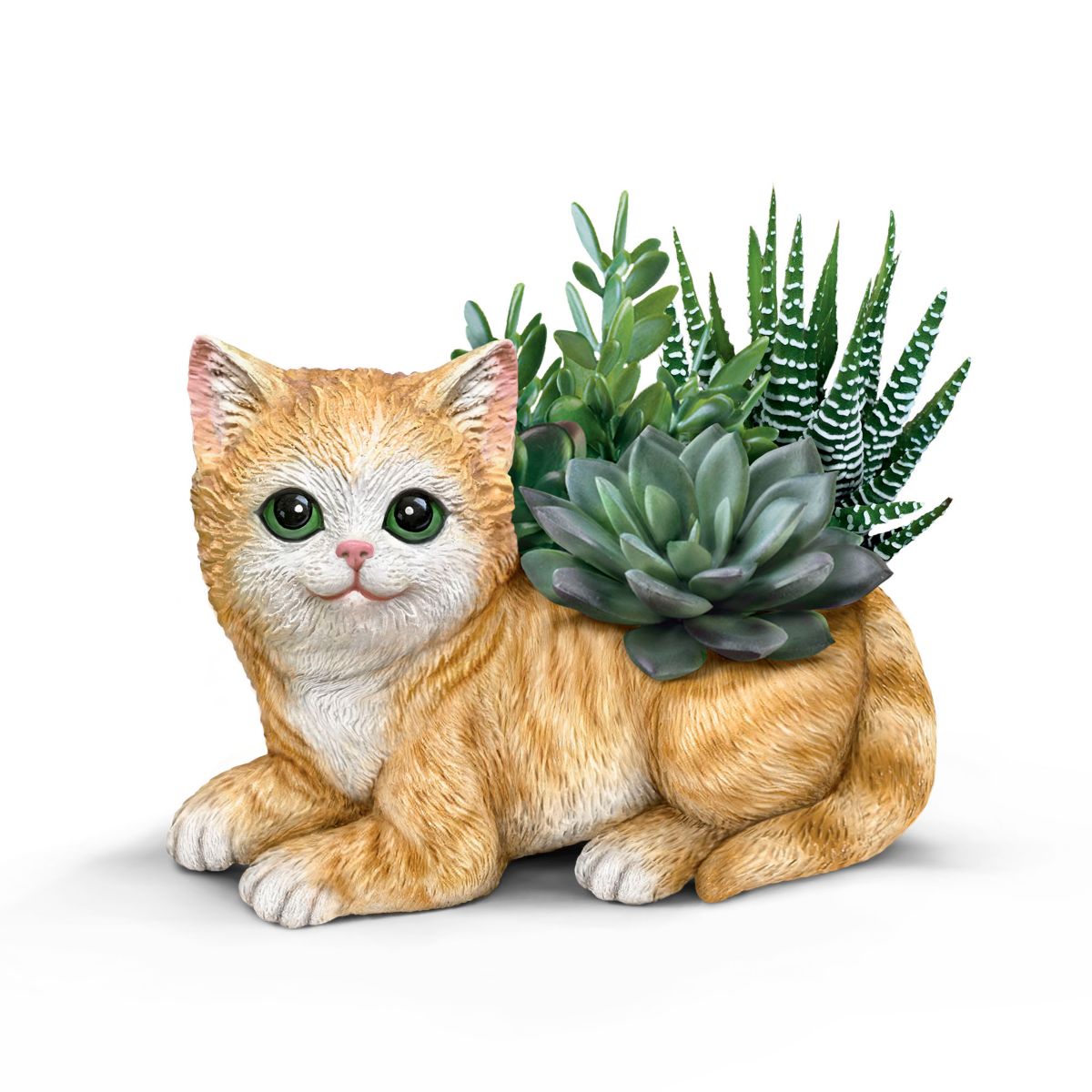 ‘Paw Prints Plant Everlasting Love’ Always in Bloom Cat Planter