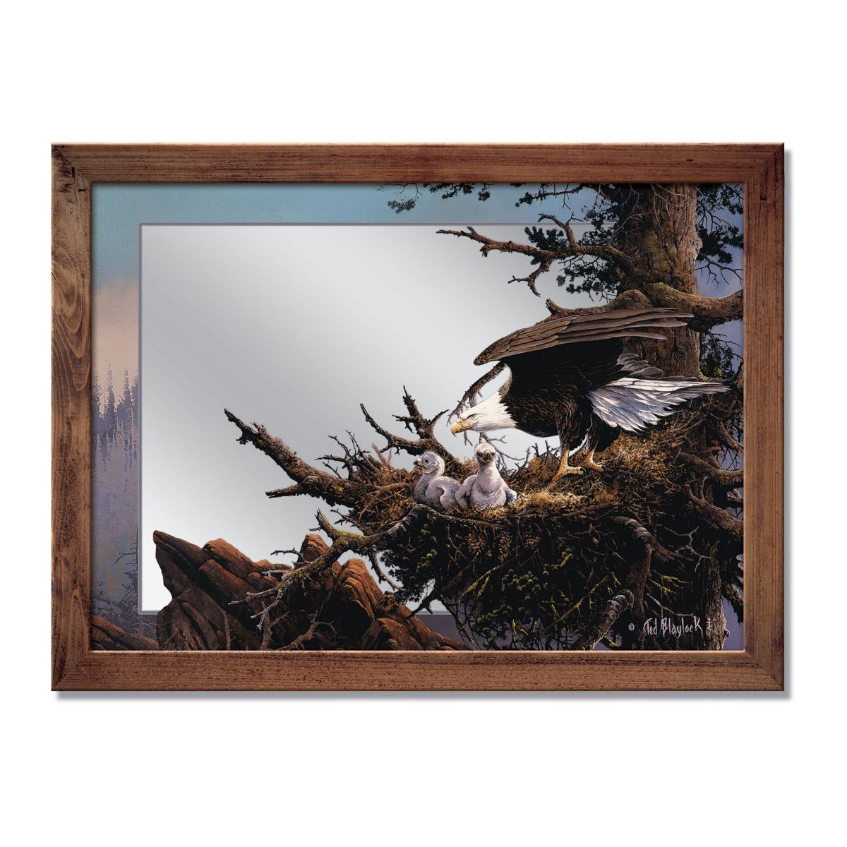 'Springtime Majesty’ Eagle Wall Mirror