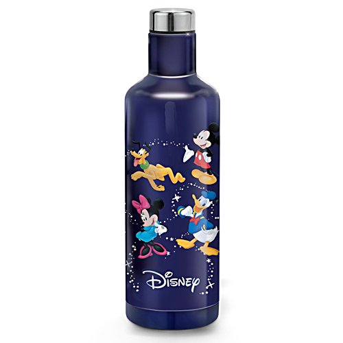 Disney Insulated Stainless Steel 500ml Water Bottle
