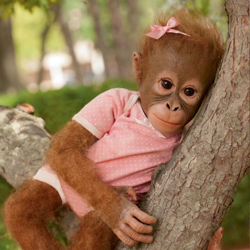 annabelle's hugs monkey doll