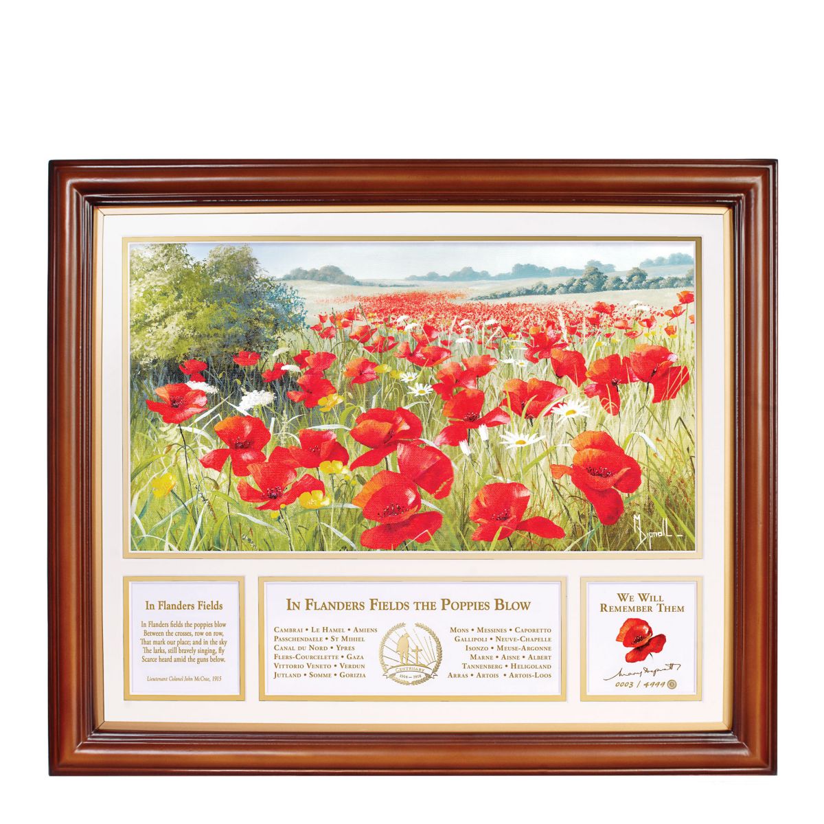 'In Flanders Field’ Poppy Print