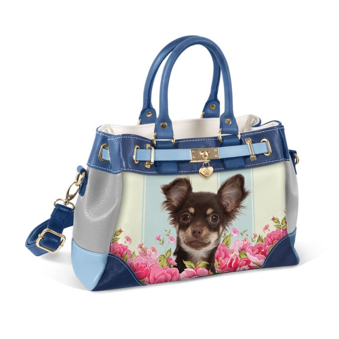 chihuahua dog in handbag