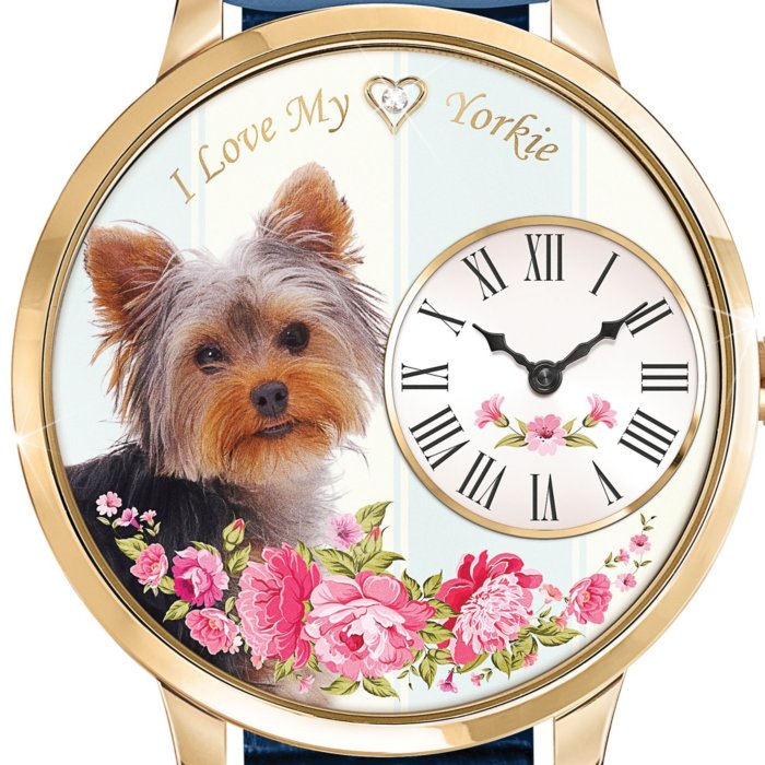Yorkie Watch Yorkie Watch
