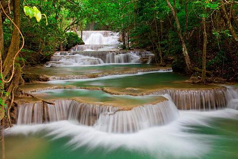 Home affaire Fototapetas »Deep Forest Waterfall«