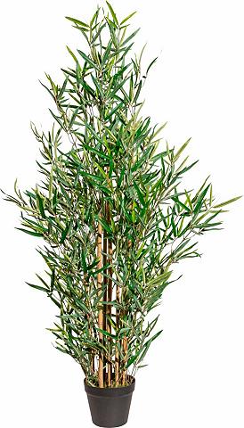 Creativ green Kunstpflanze Bambus aukštis 120 cm