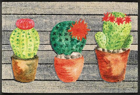 wash+dry by Kleen-Tex Durų kilimėlis »Jardin de Cactus« wash...