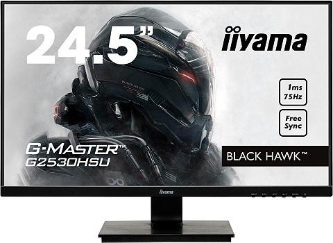 Iiyama G2530HSU-B1 Gaming-Monitor (622 cm/245...