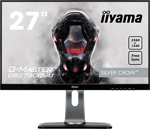 Iiyama GB2730QSU Gaming-LED-Monitor (685 cm/2...