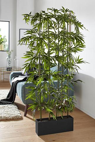 Creativ green Kunstpflanze »Bambus« aukštis 165 cm