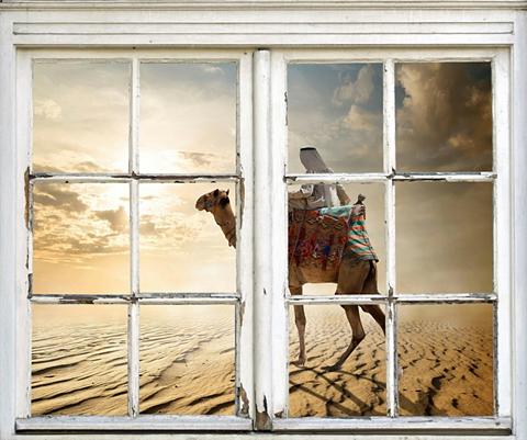 queence Wandsticker »Kamel in Wüste«